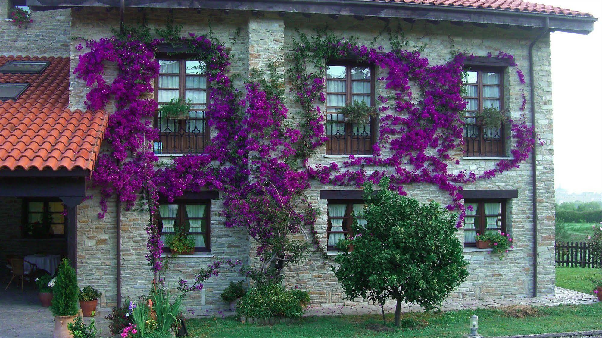Hotel Rural Casona De Cefontes Екстер'єр фото